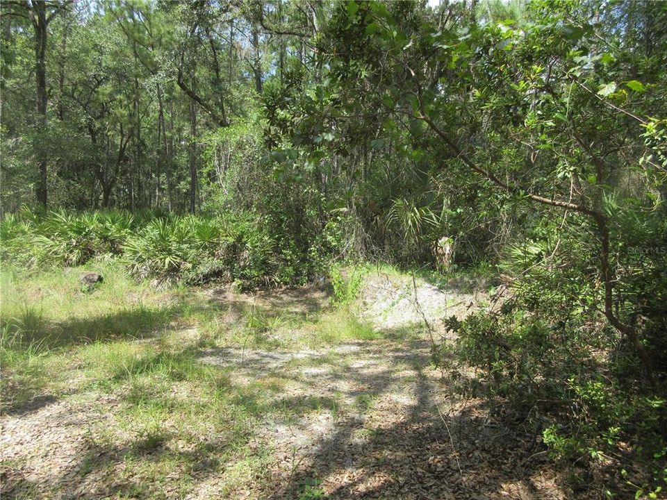 На продажу: $45,900 (0.80 acres)