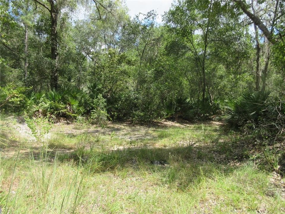 На продажу: $45,900 (0.80 acres)