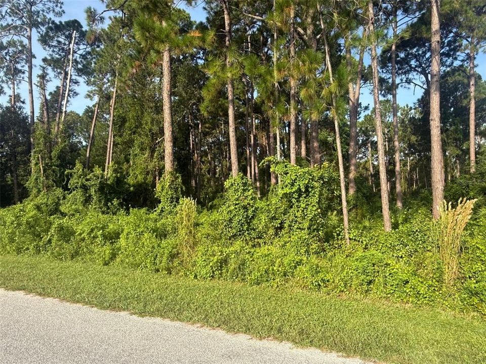 待售: $84,250 (0.47 acres)