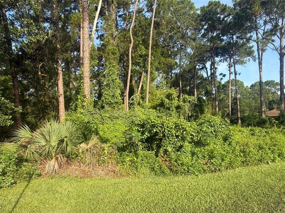 待售: $84,250 (0.47 acres)