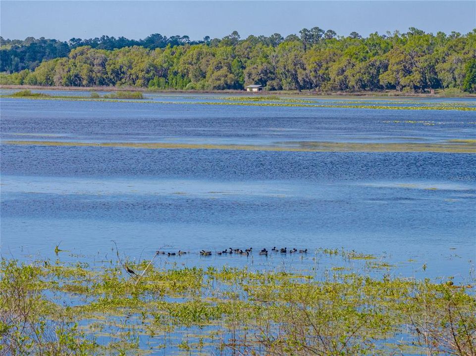 For Sale: $549,900 (3 beds, 3 baths, 2398 Square Feet)