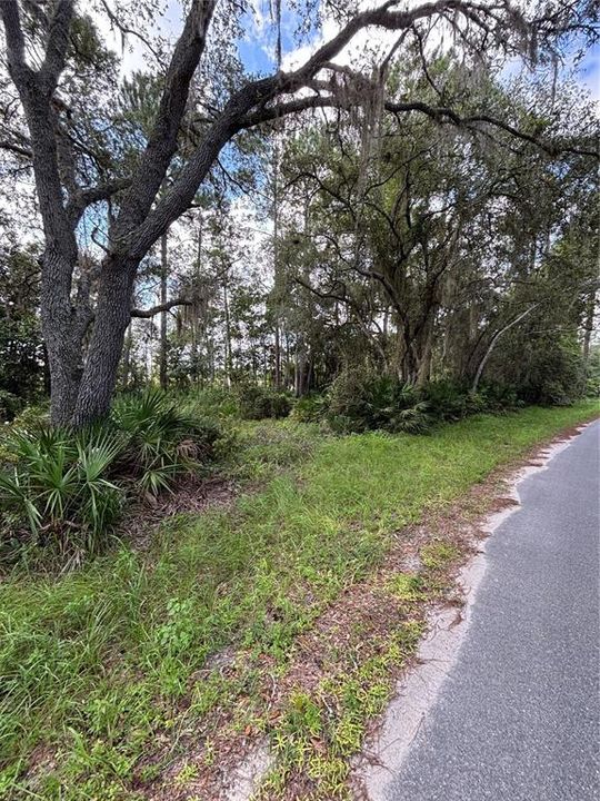 For Sale: $65,000 (3.04 acres)