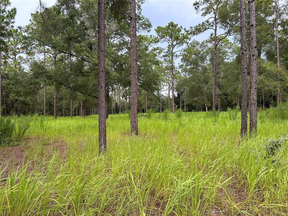 En Venta: $189,000 (5.32 acres)