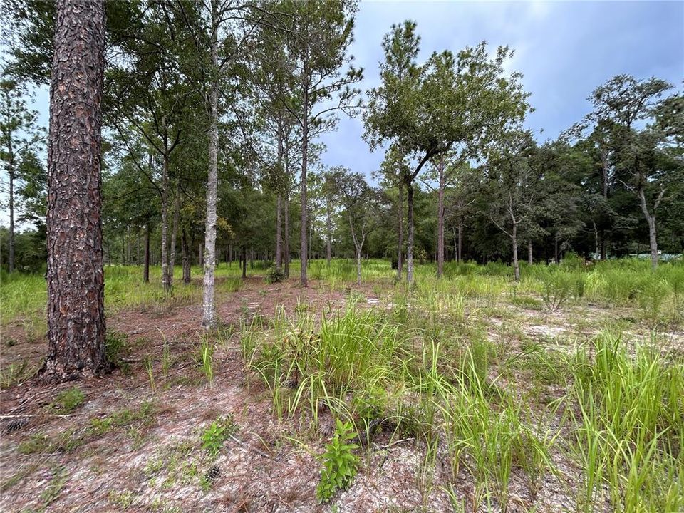 En Venta: $189,000 (5.32 acres)