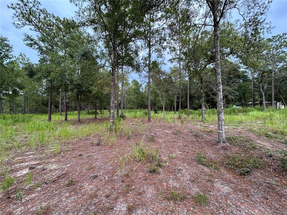 En Venta: $189,000 (5.32 acres)