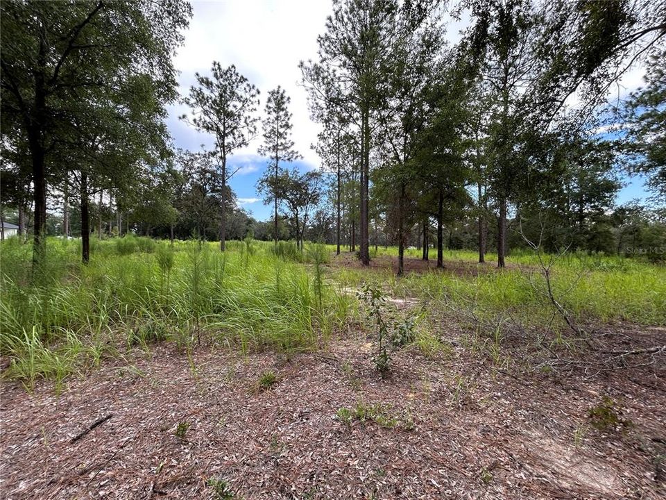 En Venta: $189,000 (5.32 acres)