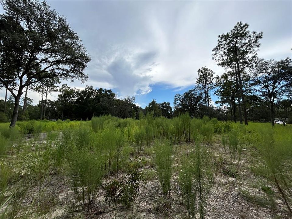 En Venta: $189,000 (5.32 acres)