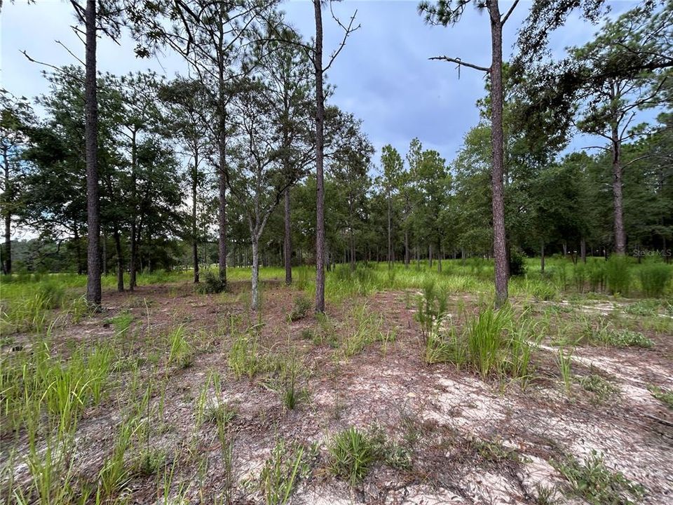 En Venta: $189,000 (5.32 acres)