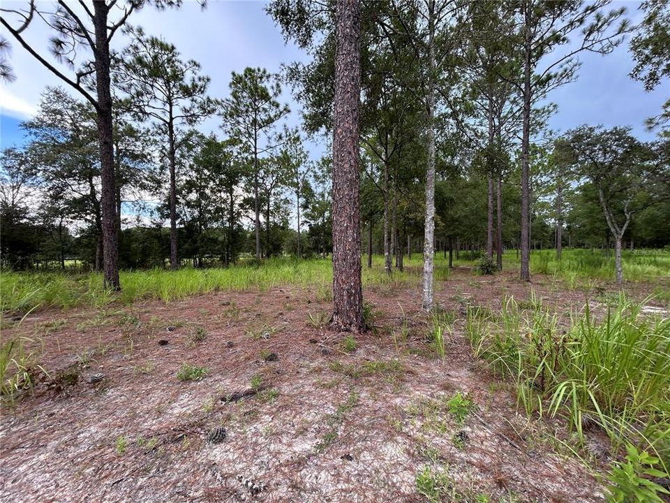 En Venta: $189,000 (5.32 acres)