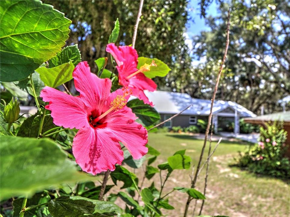 待售: $599,900 (3 贝兹, 2 浴室, 1217 平方英尺)