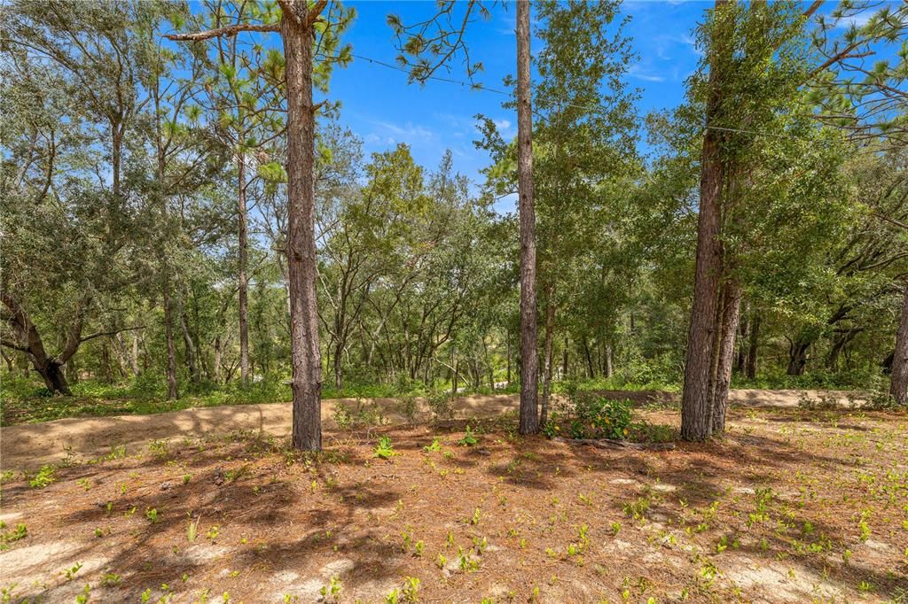 待售: $340,000 (2 贝兹, 1 浴室, 662 平方英尺)