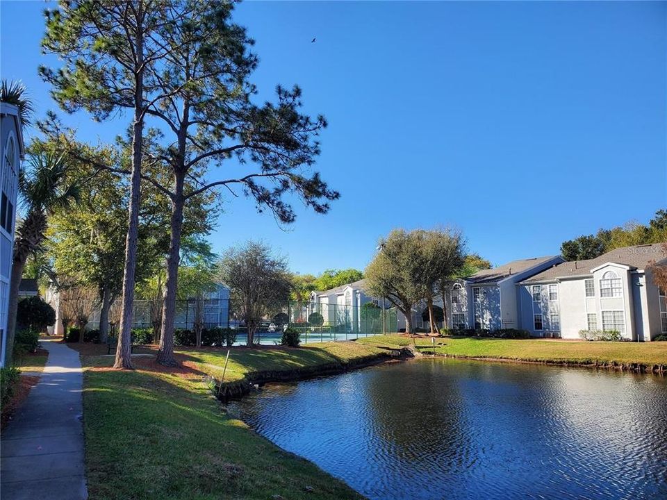 Active With Contract: $1,395 (2 beds, 1 baths, 834 Square Feet)