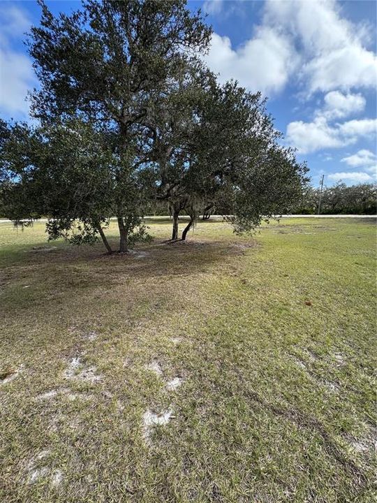 待售: $499,000 (3 贝兹, 3 浴室, 2150 平方英尺)