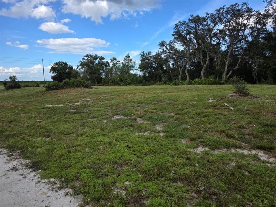 For Sale: $25,000 (0.18 acres)