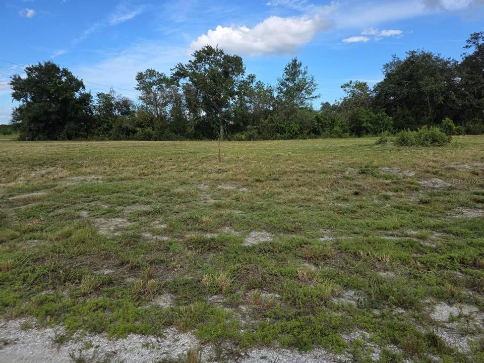 For Sale: $25,000 (0.18 acres)