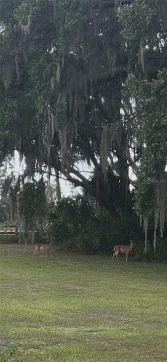 For Sale: $783,000 (4 beds, 3 baths, 2900 Square Feet)