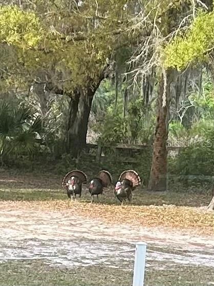 For Sale: $783,000 (4 beds, 3 baths, 2900 Square Feet)