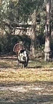 For Sale: $783,000 (4 beds, 3 baths, 2900 Square Feet)