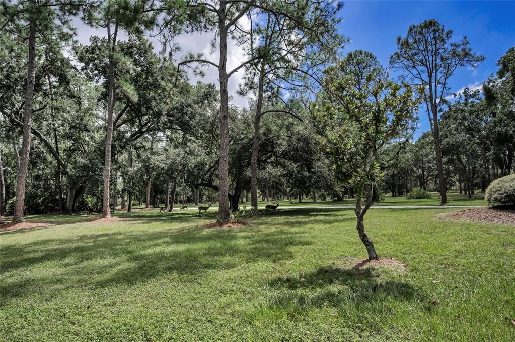 Activo con contrato: $329,999 (2 camas, 1 baños, 1204 Pies cuadrados)