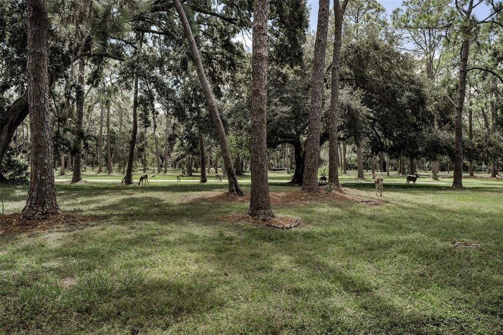 Activo con contrato: $329,999 (2 camas, 1 baños, 1204 Pies cuadrados)