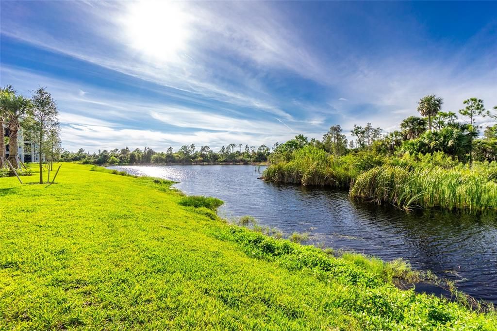 En Renta: $5,500 (2 camas, 2 baños, 1120 Pies cuadrados)