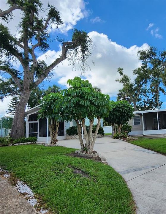 For Sale: $109,900 (1 beds, 1 baths, 786 Square Feet)