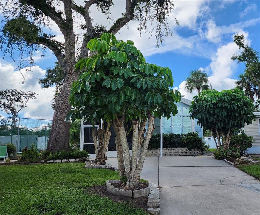 For Sale: $109,900 (1 beds, 1 baths, 786 Square Feet)