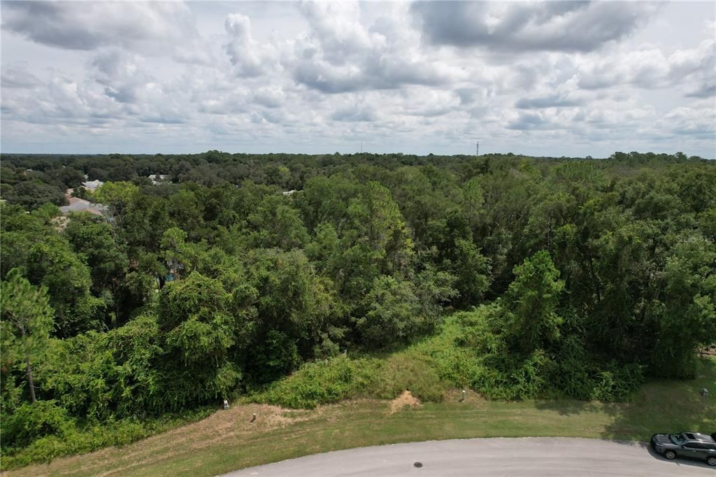 For Sale: $50,000 (0.50 acres)