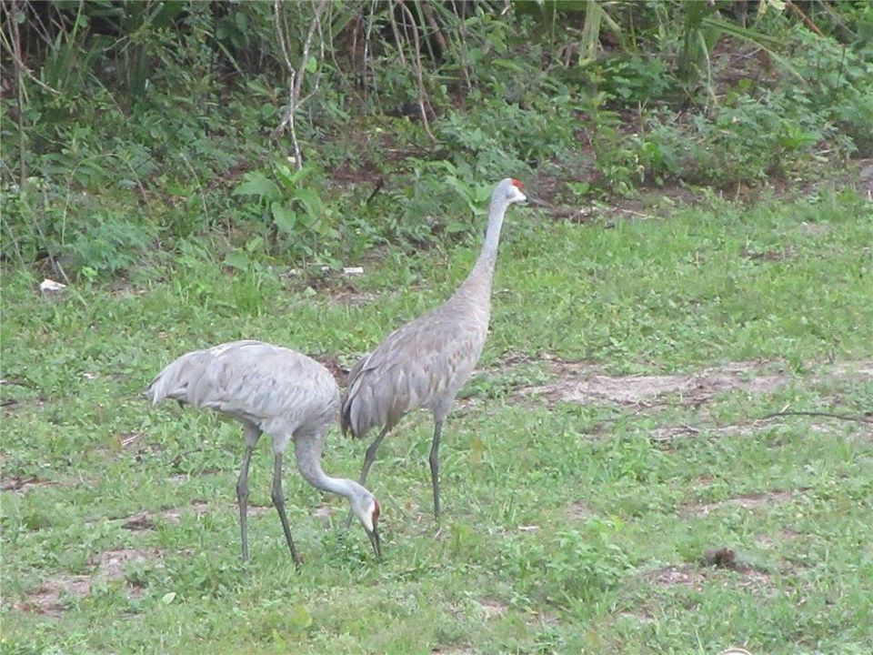 For Sale: $229,900 (3 beds, 2 baths, 1159 Square Feet)