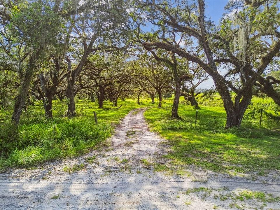 For Sale: $399,000 (9.99 acres)