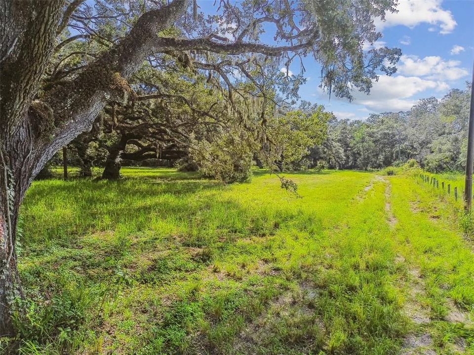 For Sale: $399,000 (9.99 acres)