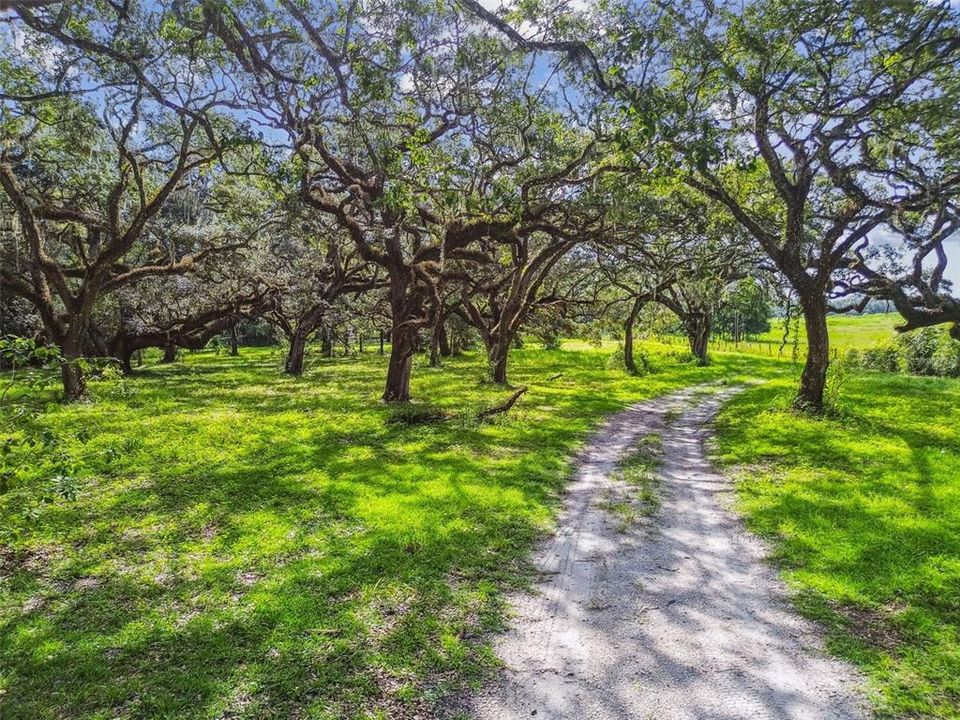 For Sale: $399,000 (9.99 acres)