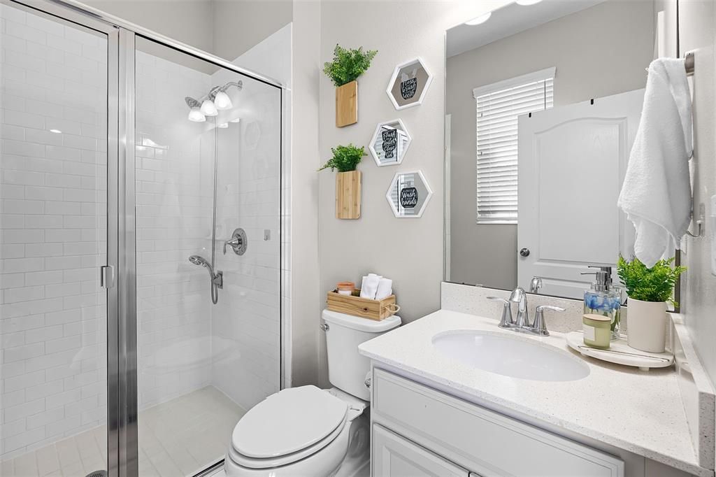 出租: $4,300 (5 贝兹, 4 浴室, 3556 平方英尺)