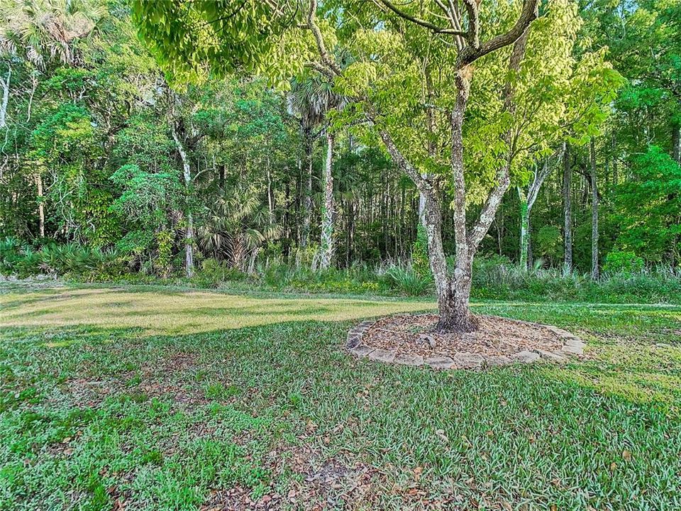 На продажу: $425,000 (3 спален, 2 ванн, 1929 Квадратных фут)