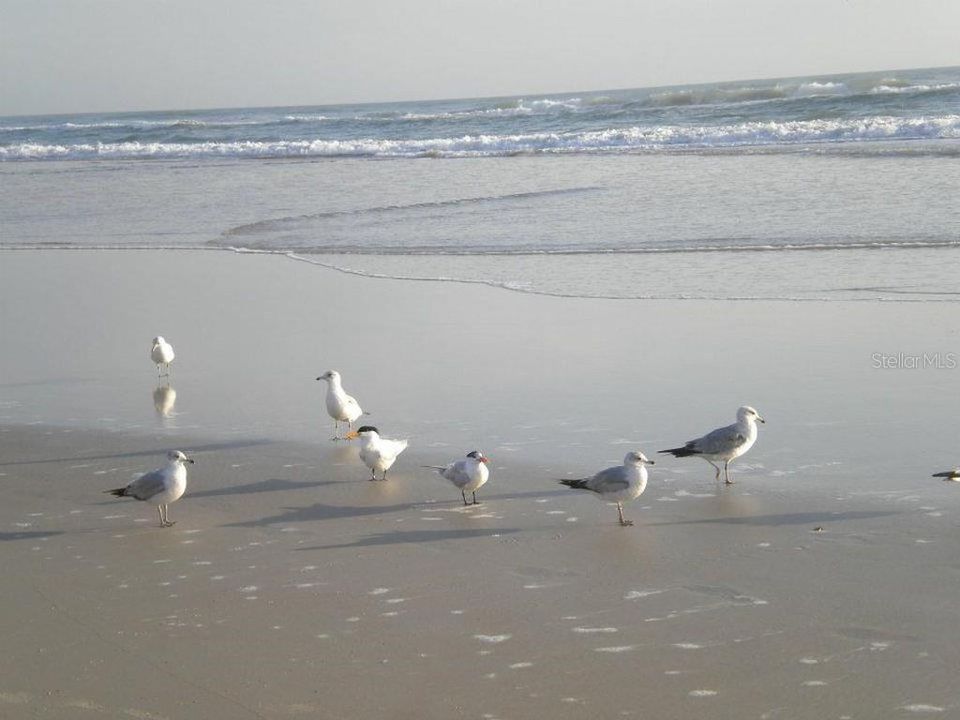 Active With Contract: $399,500 (3 beds, 2 baths, 1937 Square Feet)