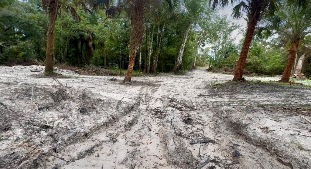 For Sale: $299,000 (13.04 acres)