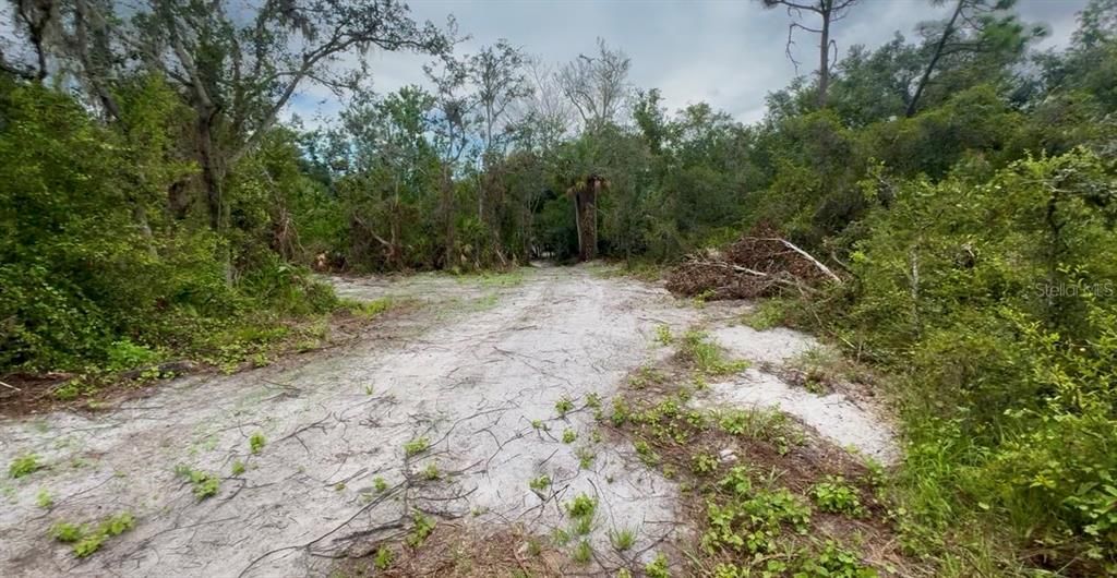 For Sale: $299,000 (13.04 acres)