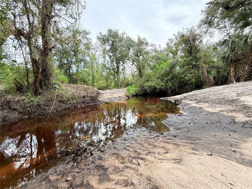 For Sale: $299,000 (13.04 acres)