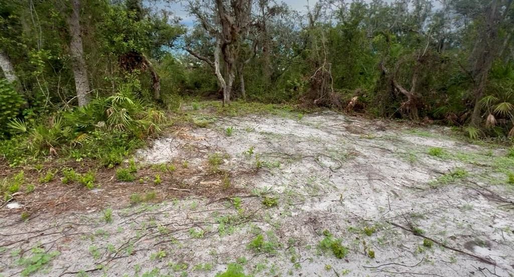 For Sale: $299,000 (13.04 acres)