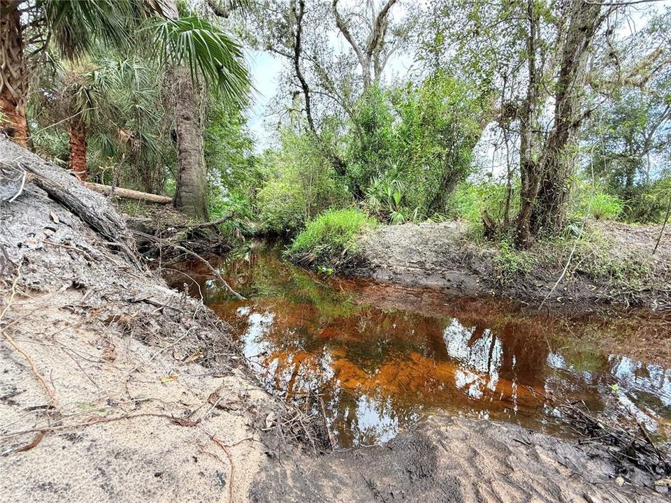 For Sale: $299,000 (13.04 acres)