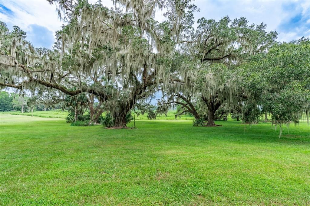 For Sale: $350,000 (0.28 acres)