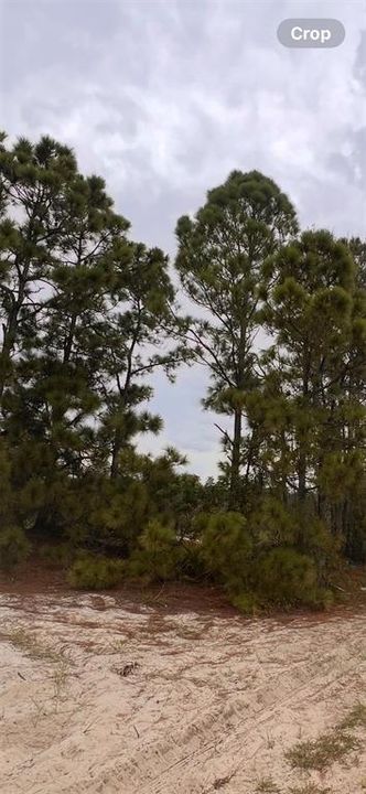 En Venta: $7,000 (0.23 acres)