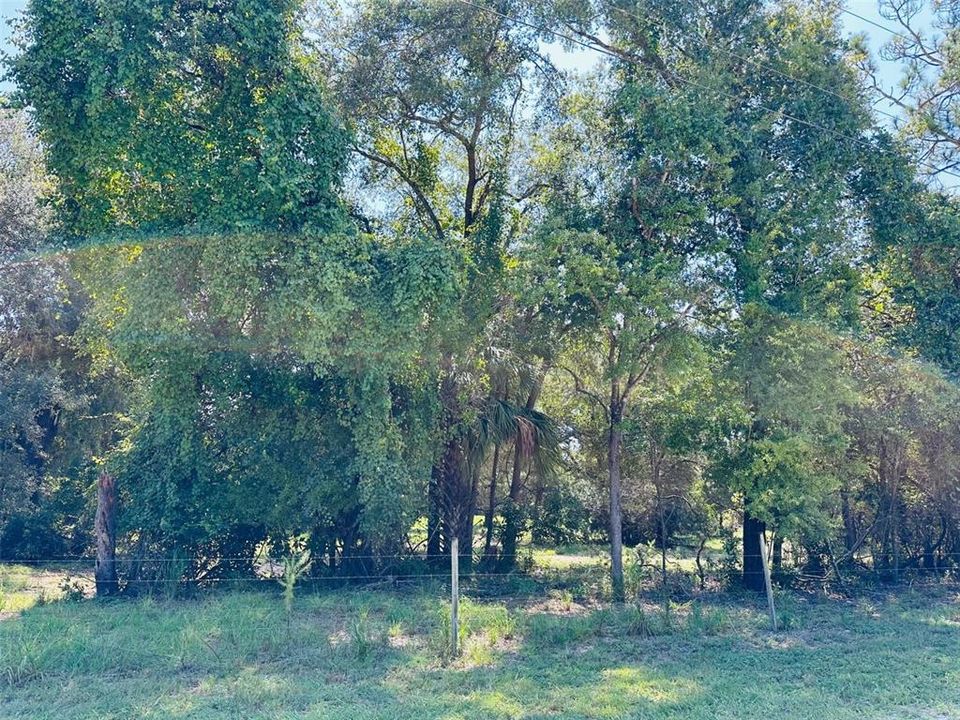 最近售出: $135,000 (9.54 acres)