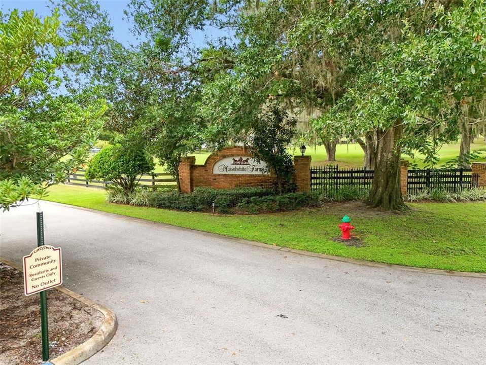 For Sale: $299,990 (4.91 acres)