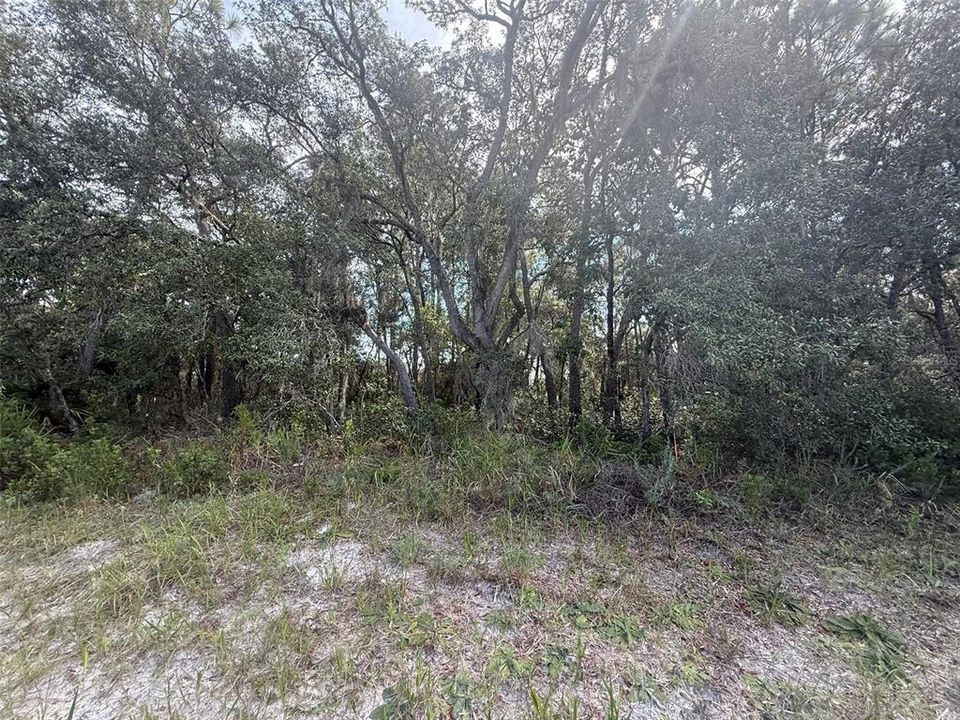 For Sale: $189,900 (3.23 acres)