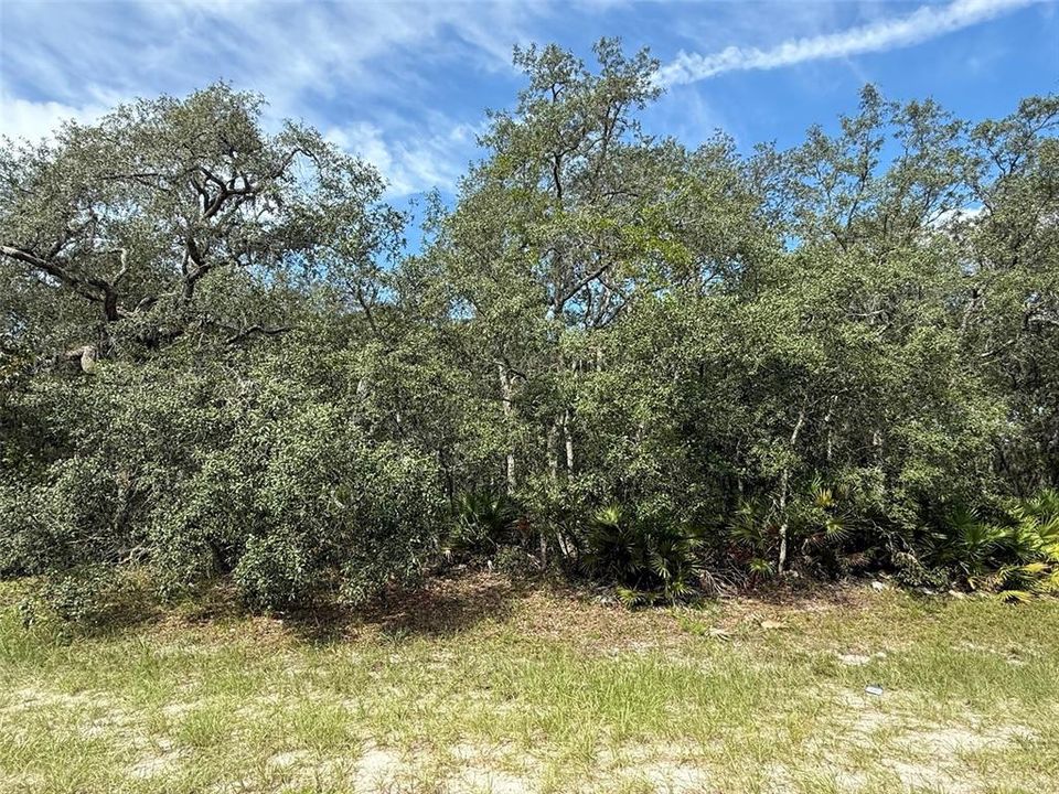 For Sale: $189,900 (3.23 acres)