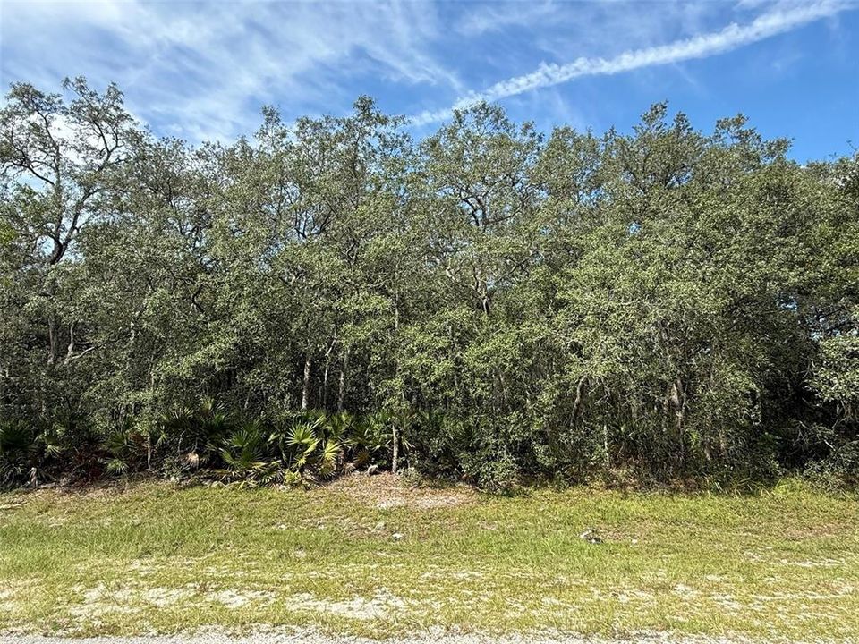 For Sale: $189,900 (3.23 acres)