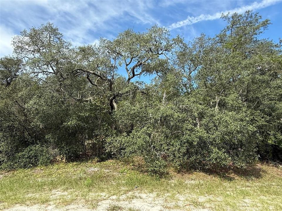 For Sale: $189,900 (3.23 acres)