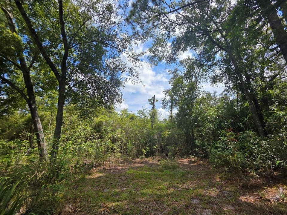 En Venta: $229,000 (1 camas, 1 baños, 864 Pies cuadrados)