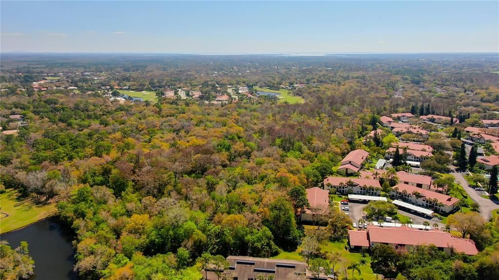 Active With Contract: $185,000 (2 beds, 2 baths, 1300 Square Feet)